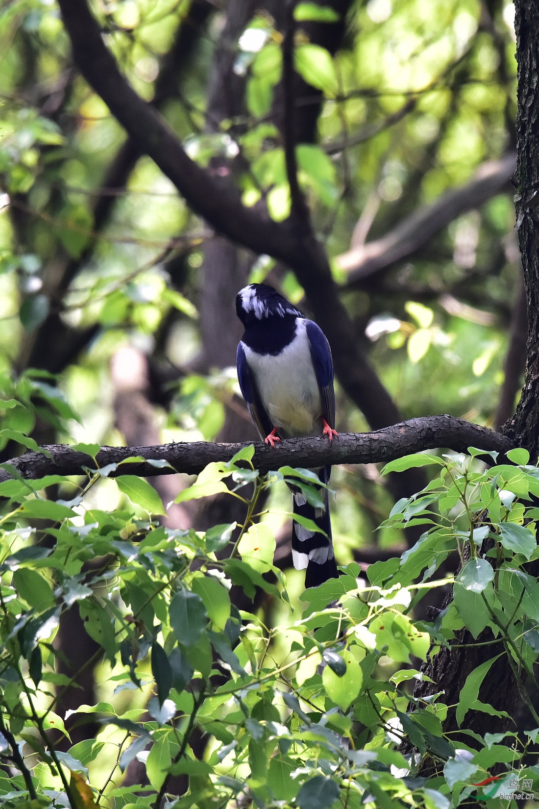 DSC_0377.JPG