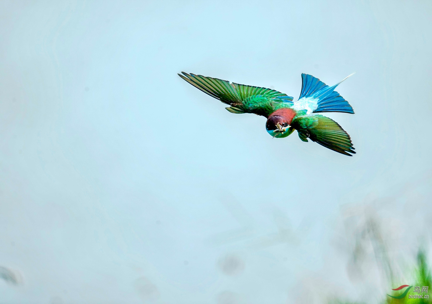 _E8J0749.jpg