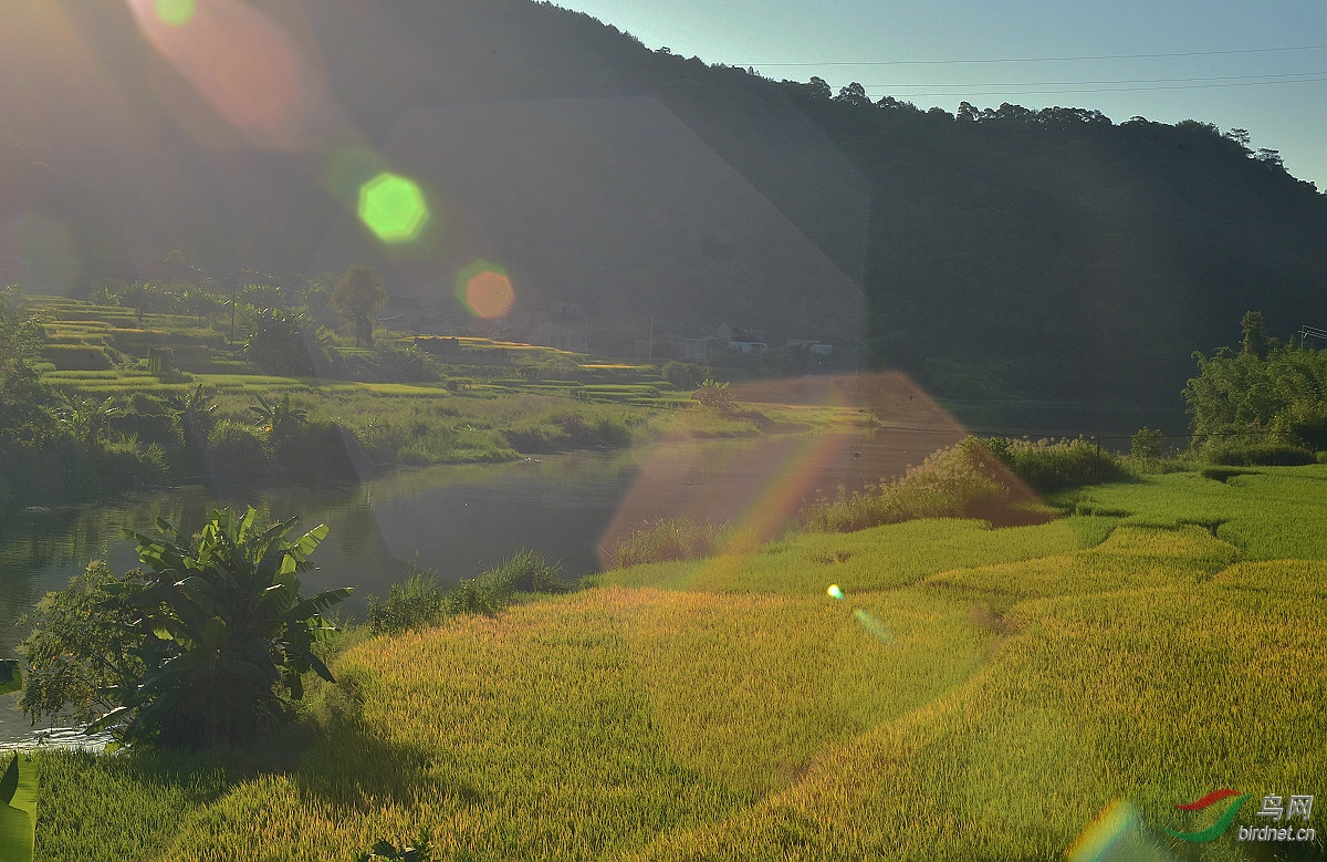 D8I_0774.jpg
