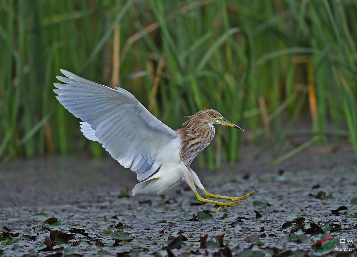 DSC_8161.jpg