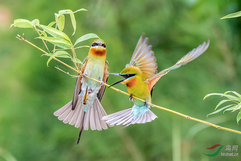 20190923�죡���ˣ�.jpg