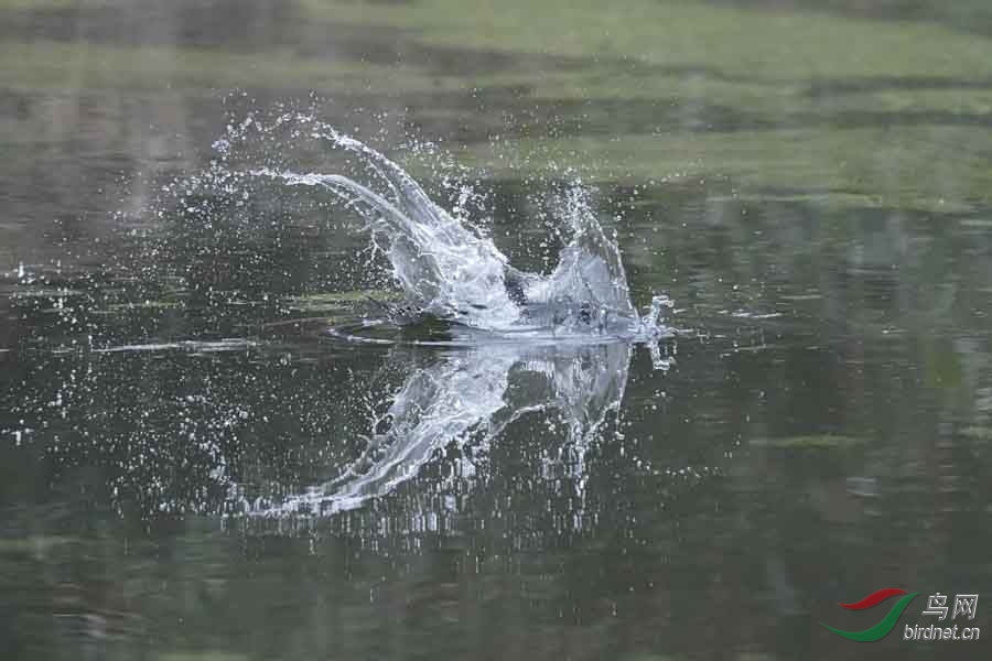 20180224-DSC00967-13 - ����.JPG