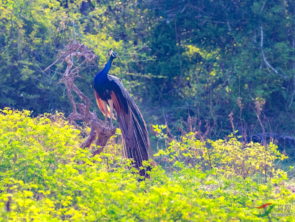 3S5A8514  01_����.jpg