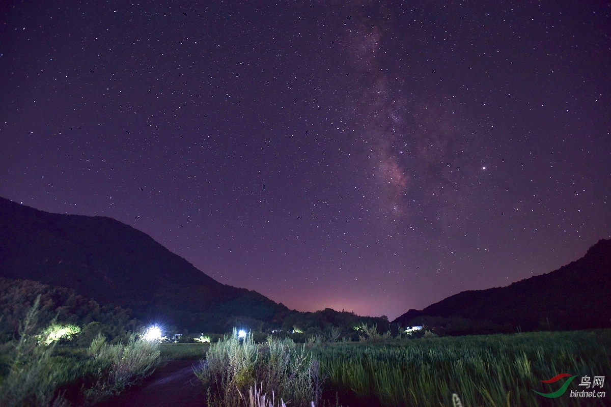 乡村之游夜空田野