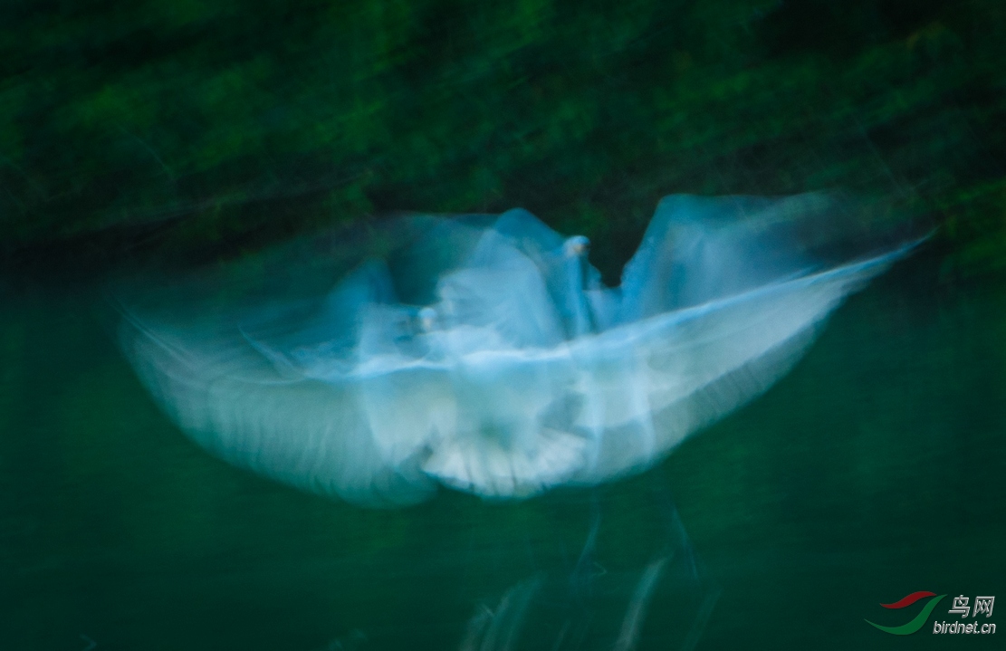 nEO_IMG_DSC_4760.jpg