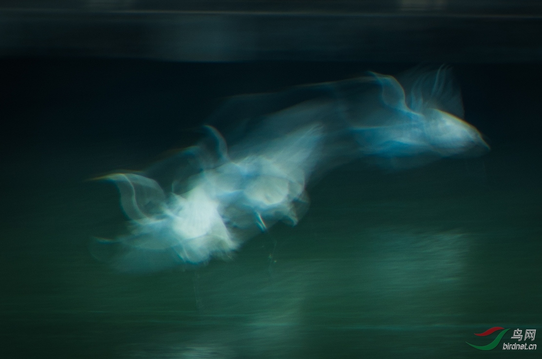 nEO_IMG_DSC_7992.jpg