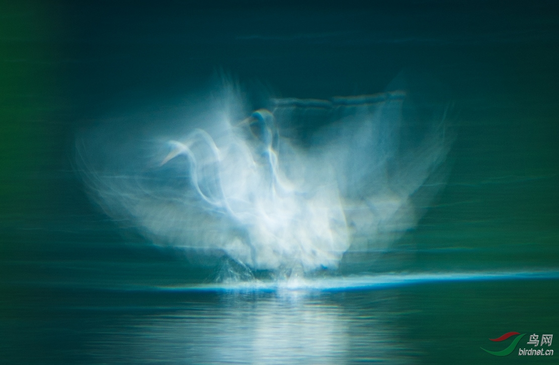 nEO_IMG_DSC_8149.jpg