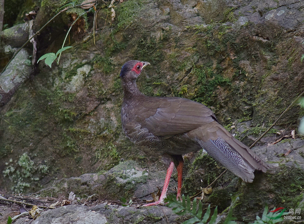 D8I_7602.jpg