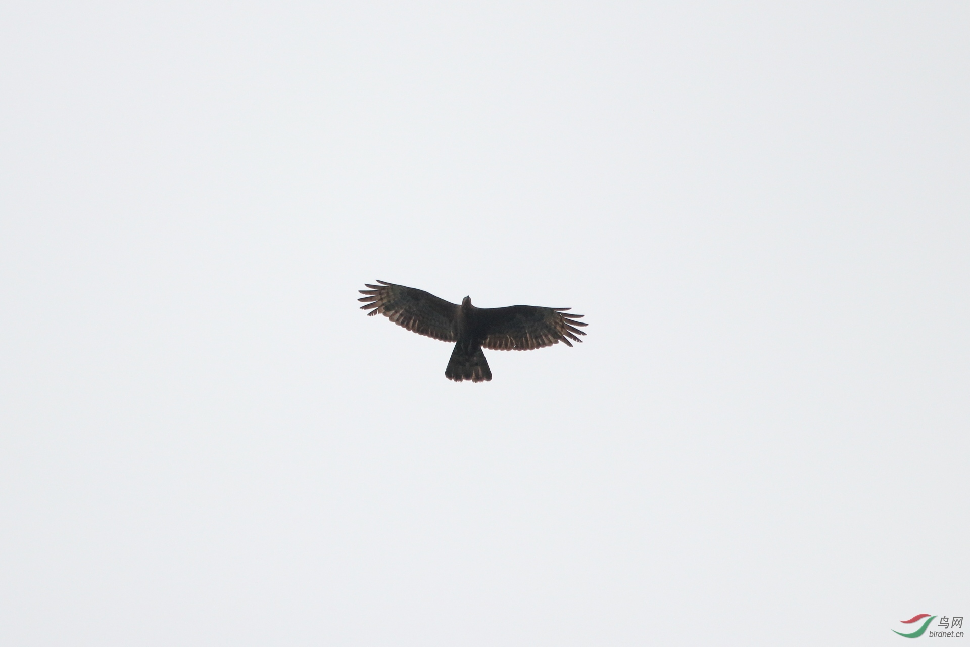 IMG_6964.JPG