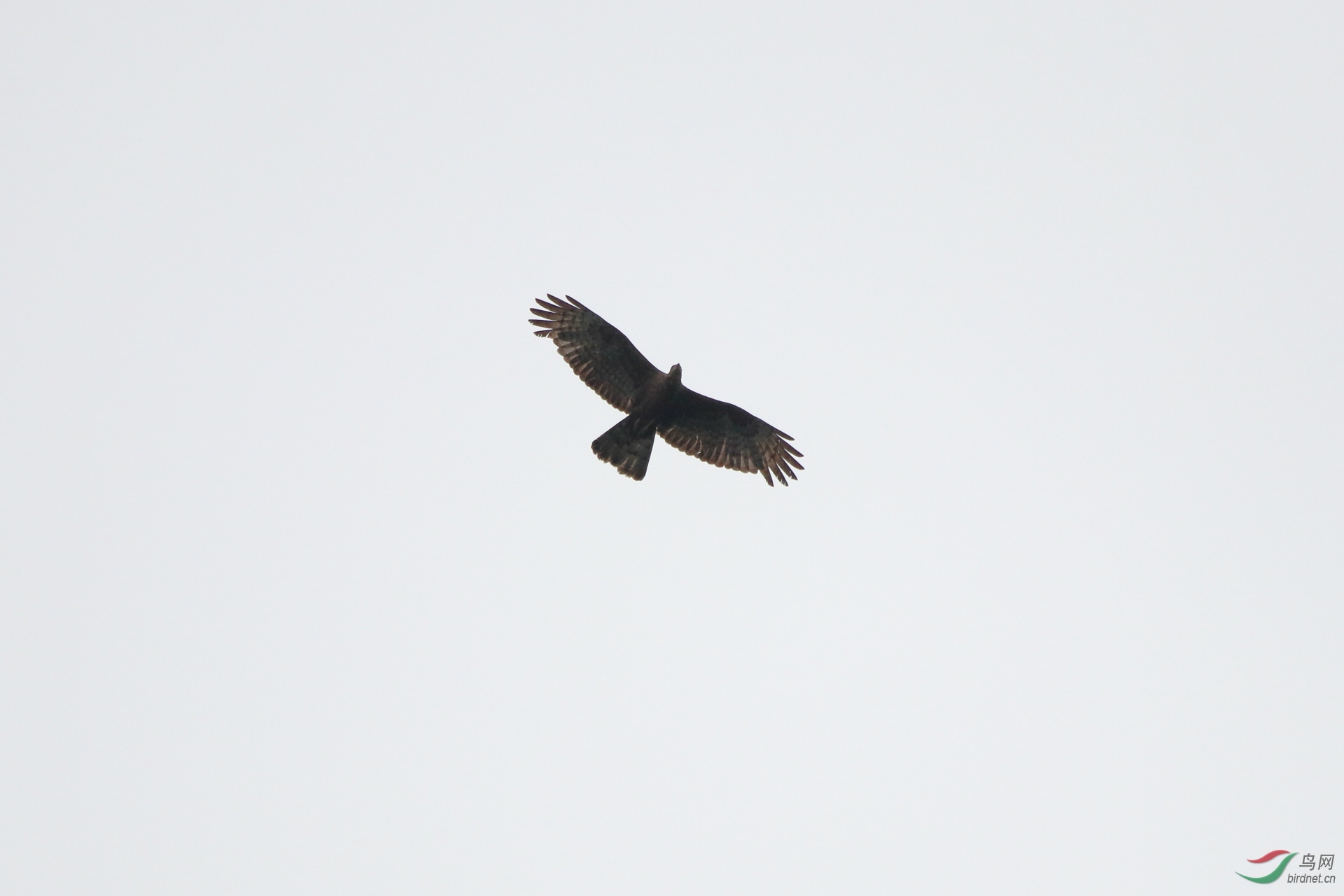 IMG_6960.JPG
