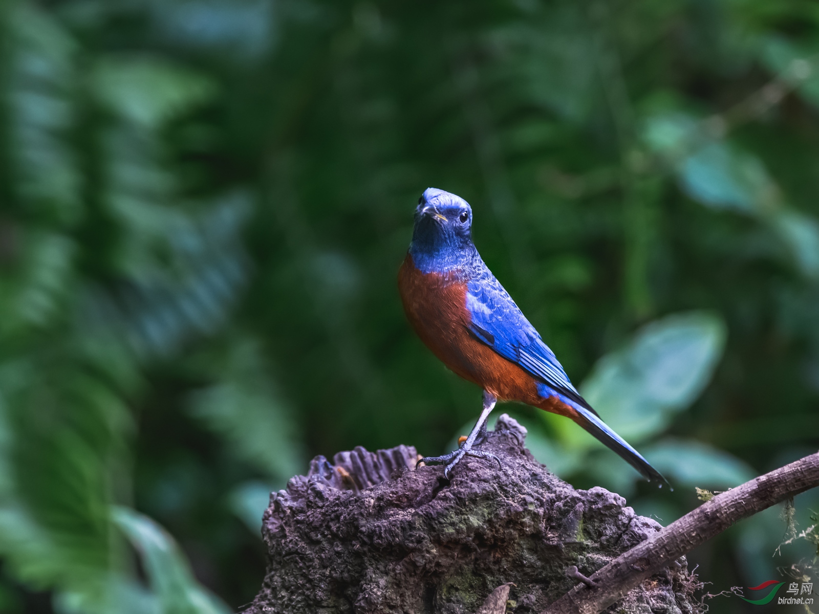 DSC_4405.jpg