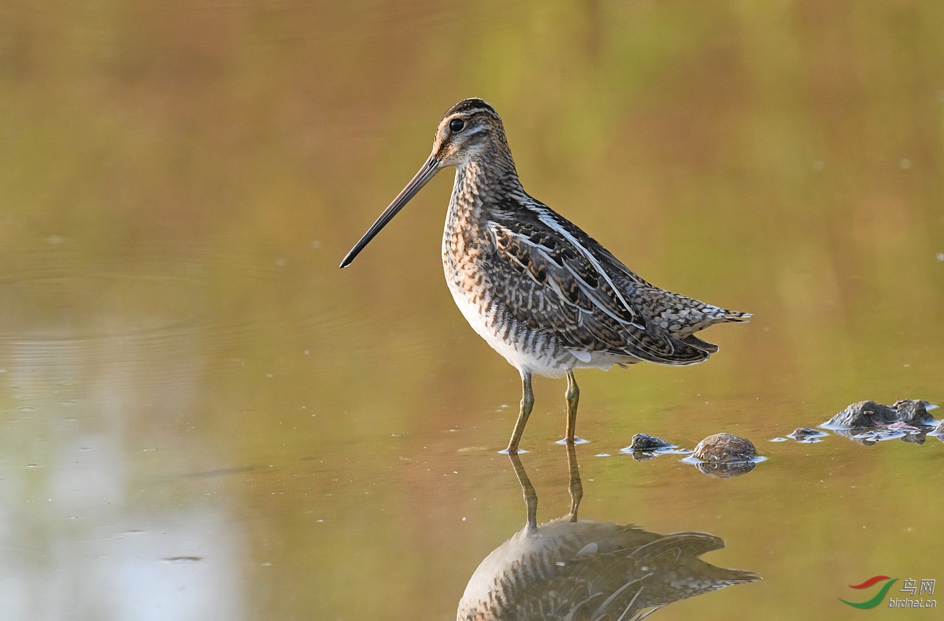 DSC_9833.jpg