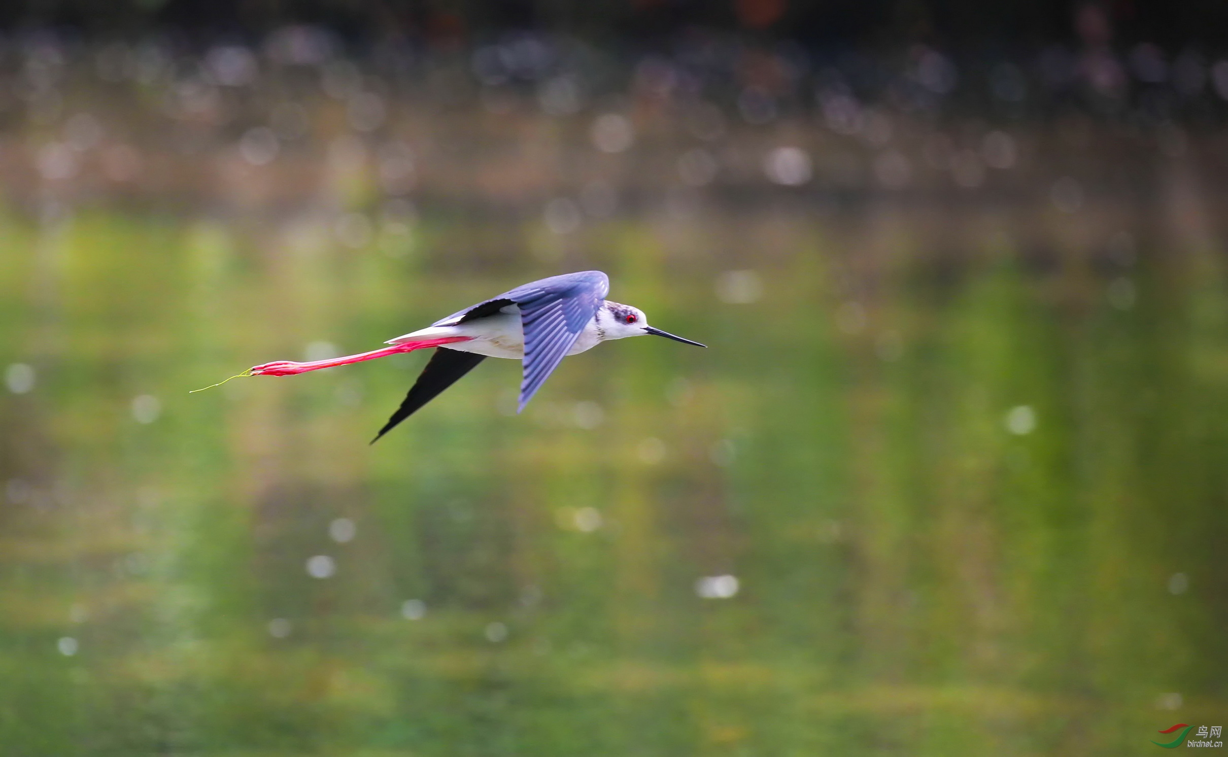 IMG_6767_副本1.jpg
