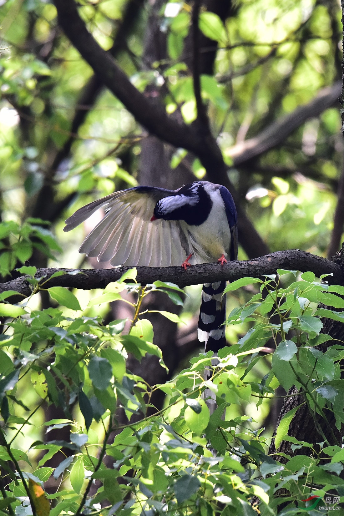 DSC_0381.JPG