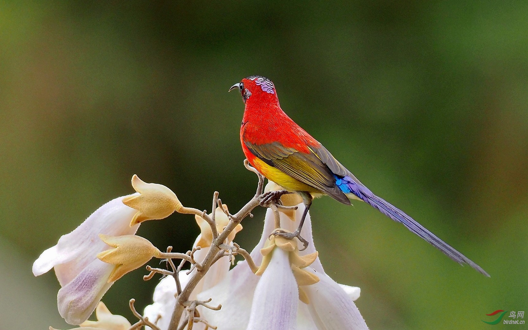 P3315231_����_DxO (����).jpg