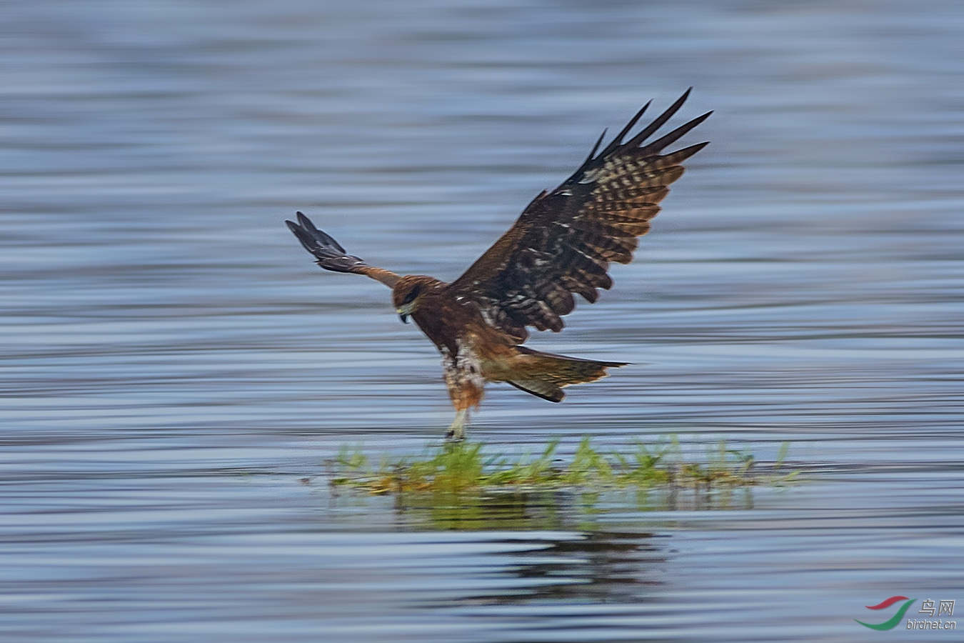 9K0A9580_1-W.jpg