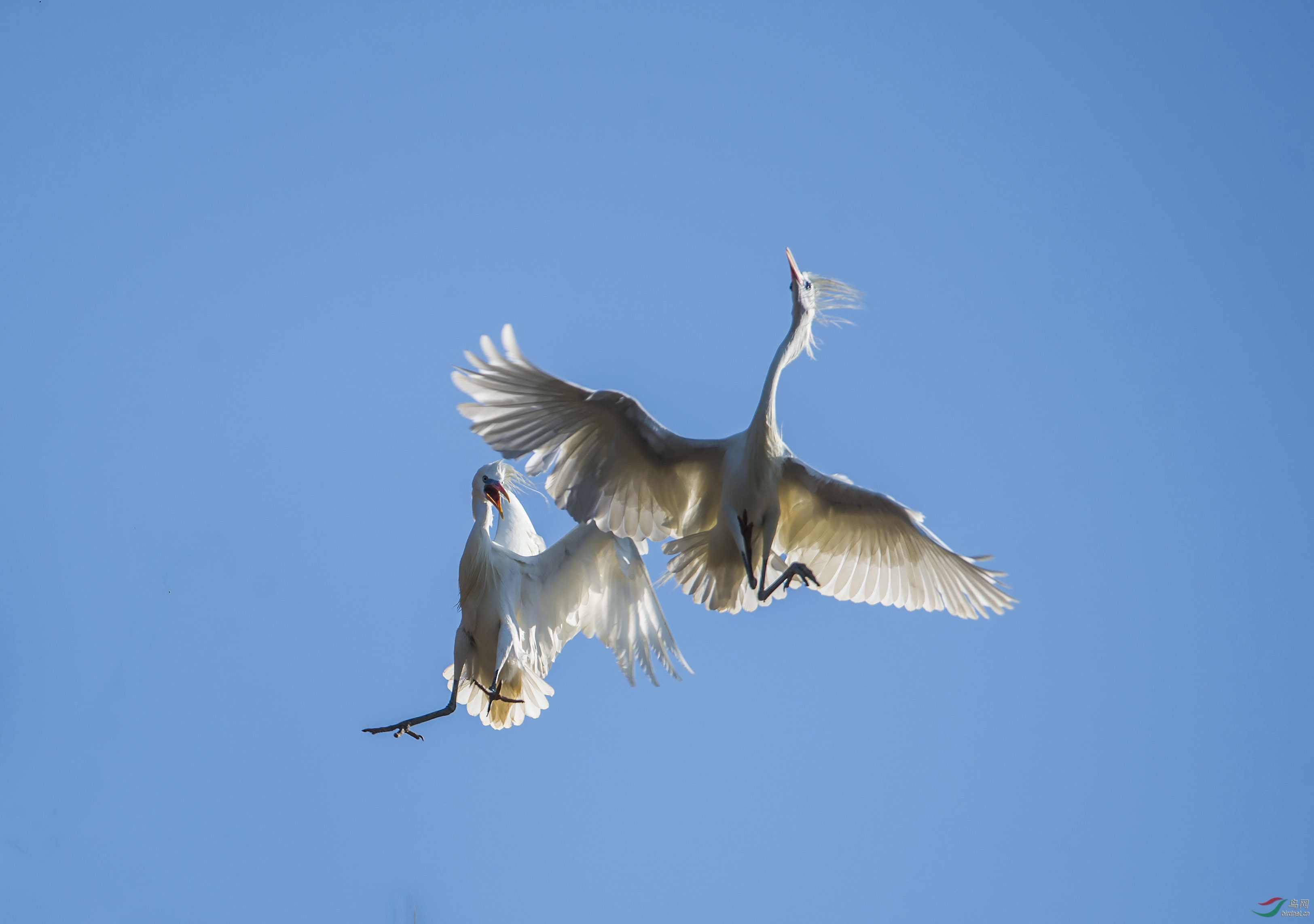 DSC_0553.jpg