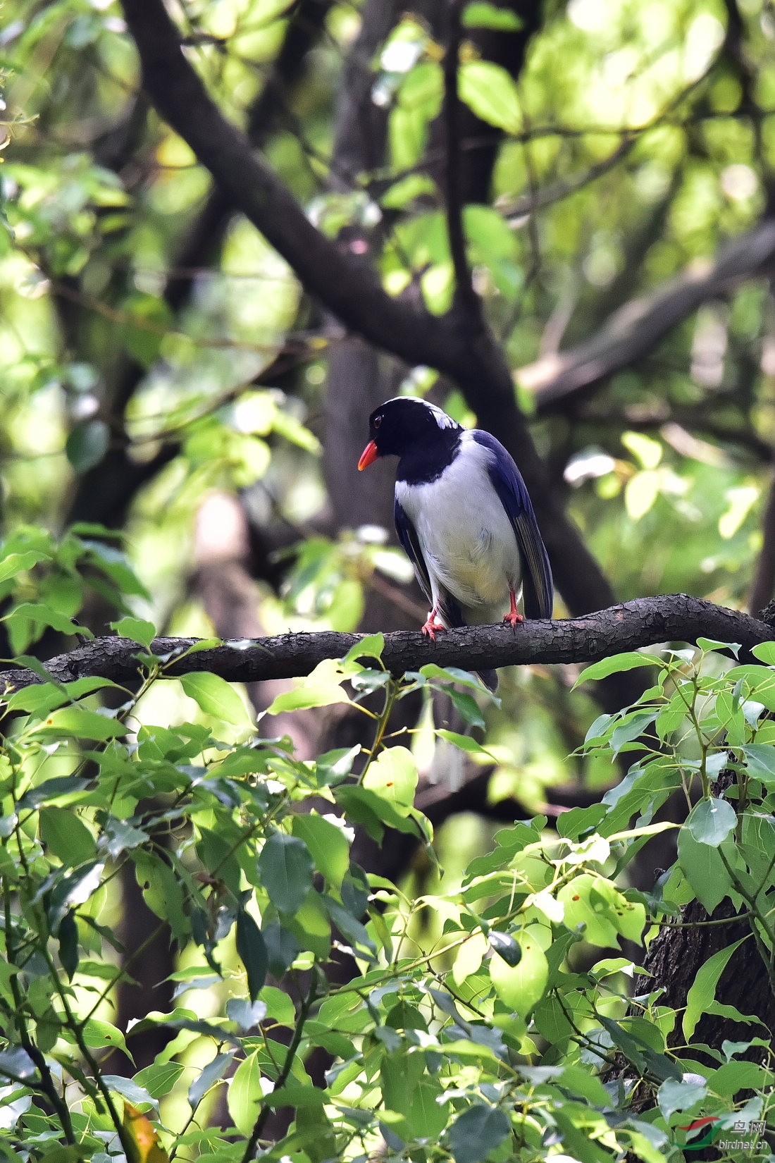 DSC_0383.JPG