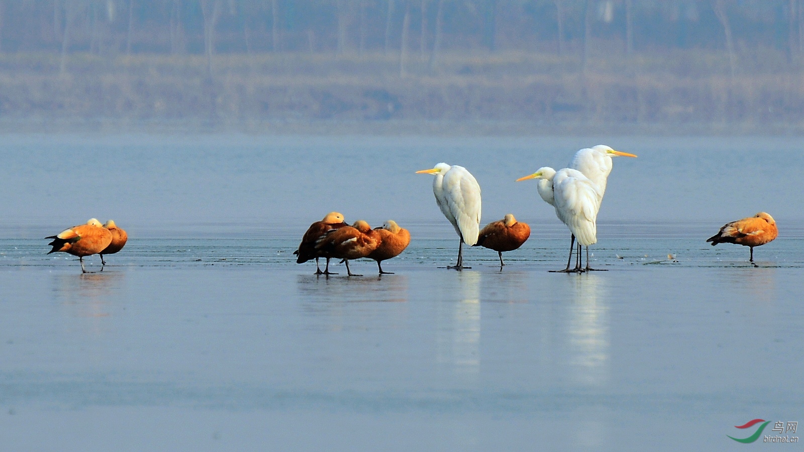 DSC_0157.JPG
