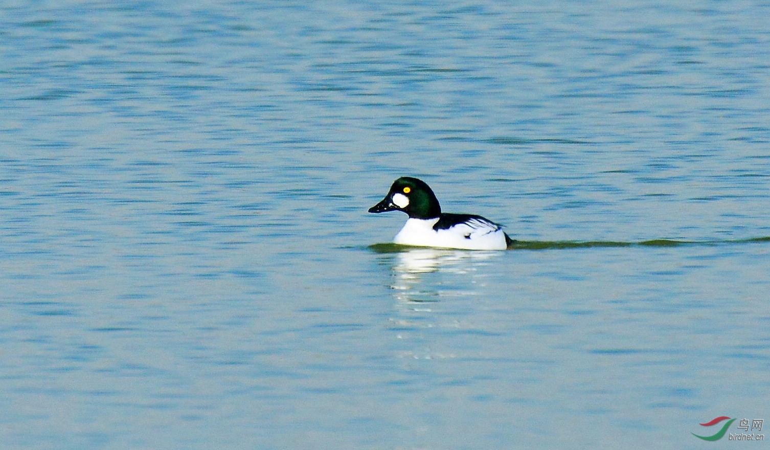 DSC_6497.JPG