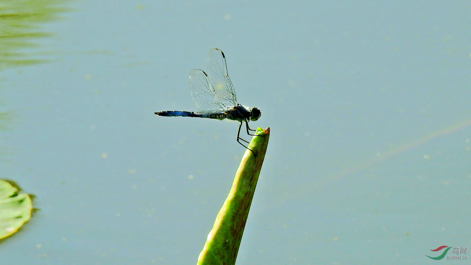 DSCN9263.JPG
