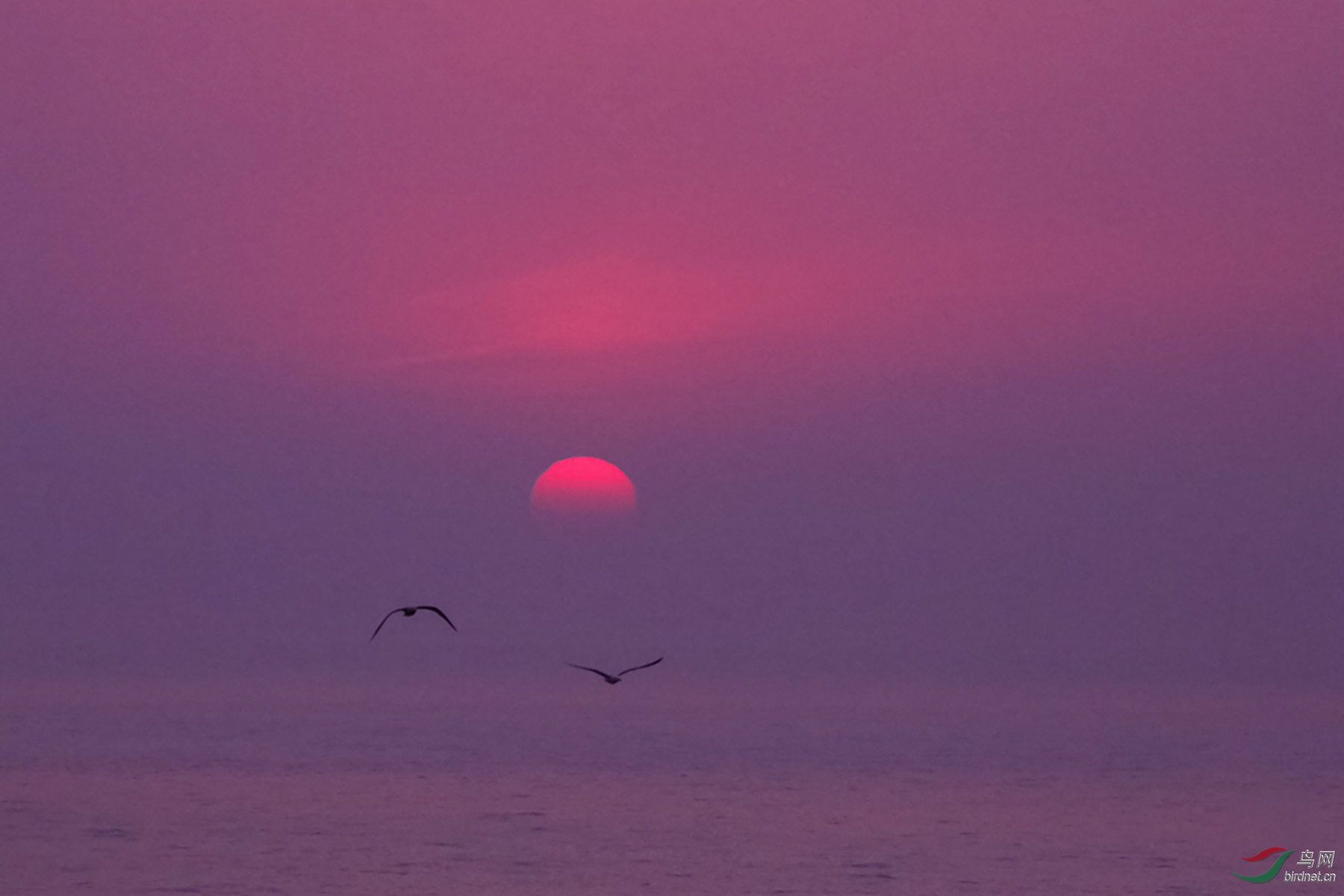 916A1149 Ϧ��������.jpg