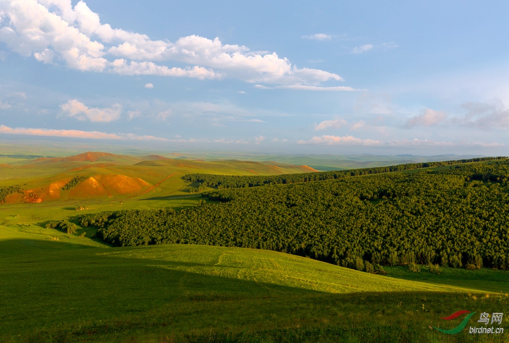 916A5318  01_����.jpg