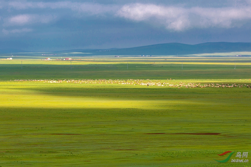 916A5495  01__����.jpg