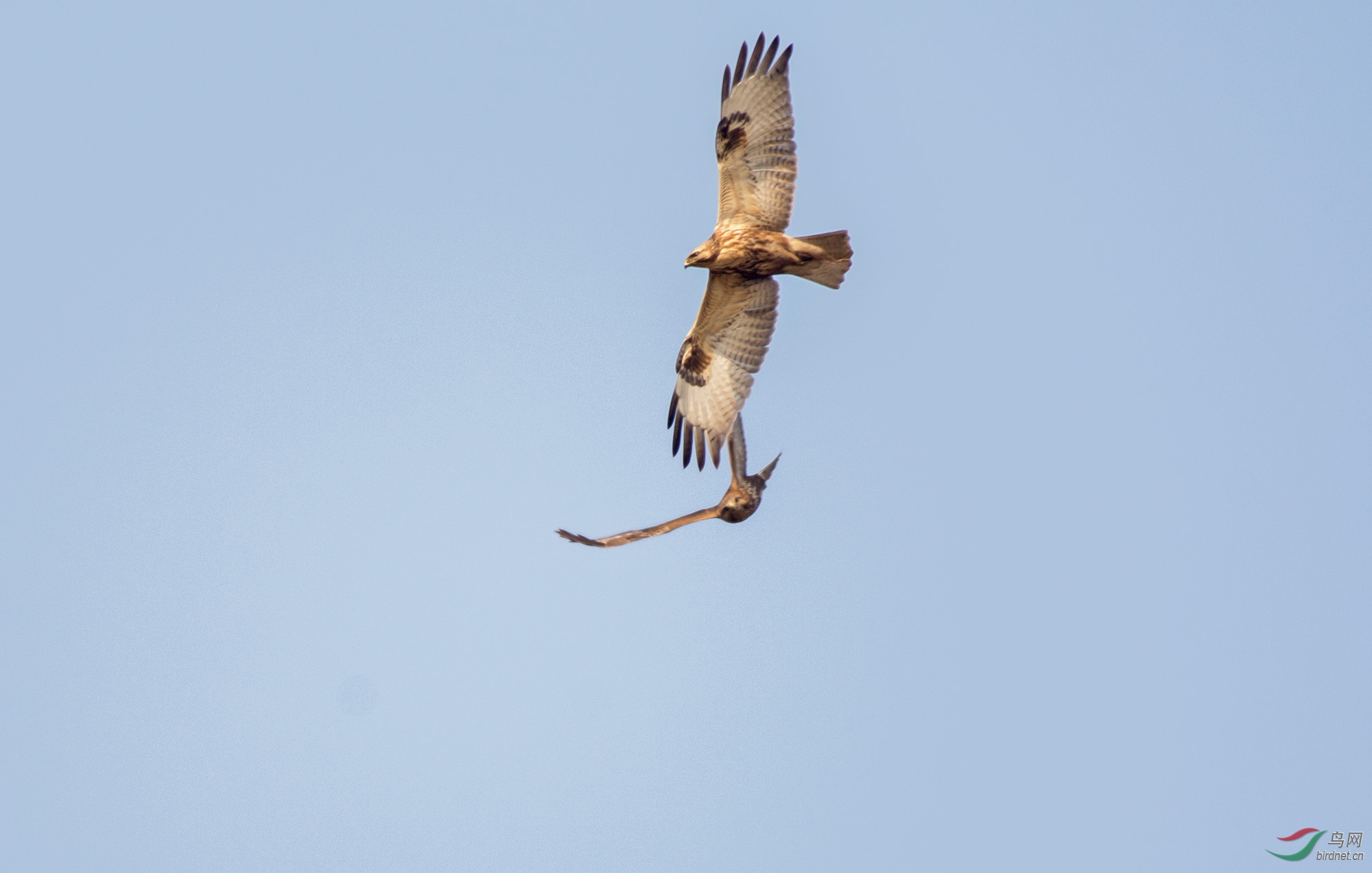 DSC_2121.jpg