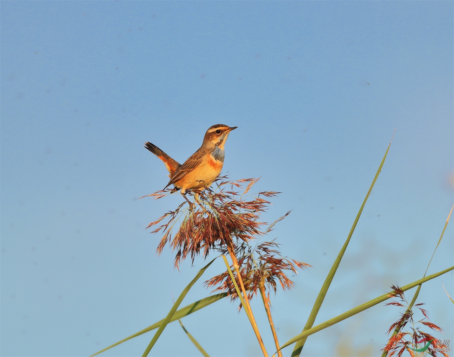 3 - ����.JPG