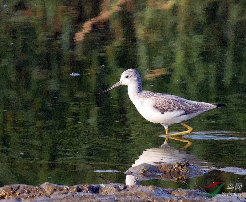 P3270059 - ����.JPG