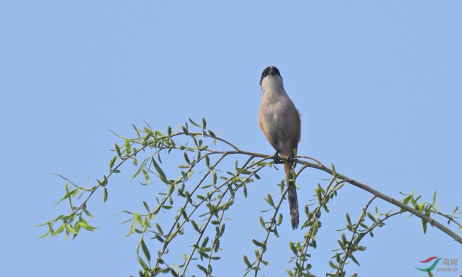 DSCN7022.JPG