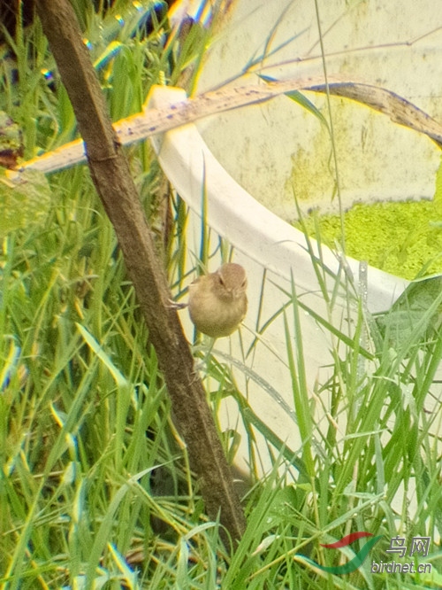 2014-06-22_����.jpg