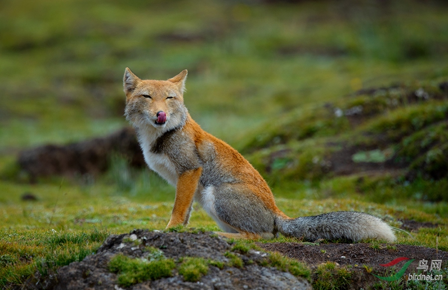 DSC_8015.jpg