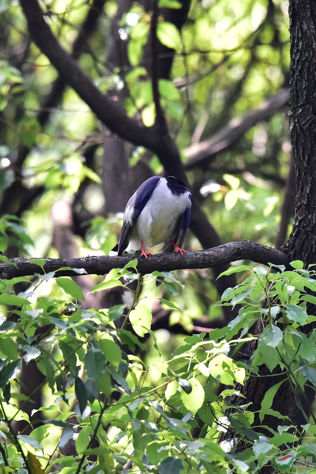 DSC_0385.JPG
