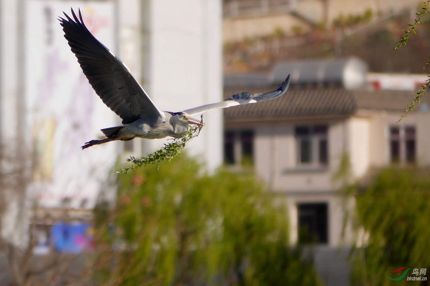 2019044.�ذ����� ������Ȼ