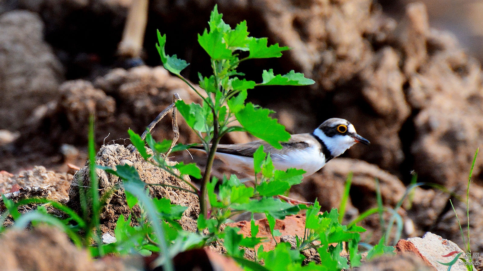 DSC_3569.JPG