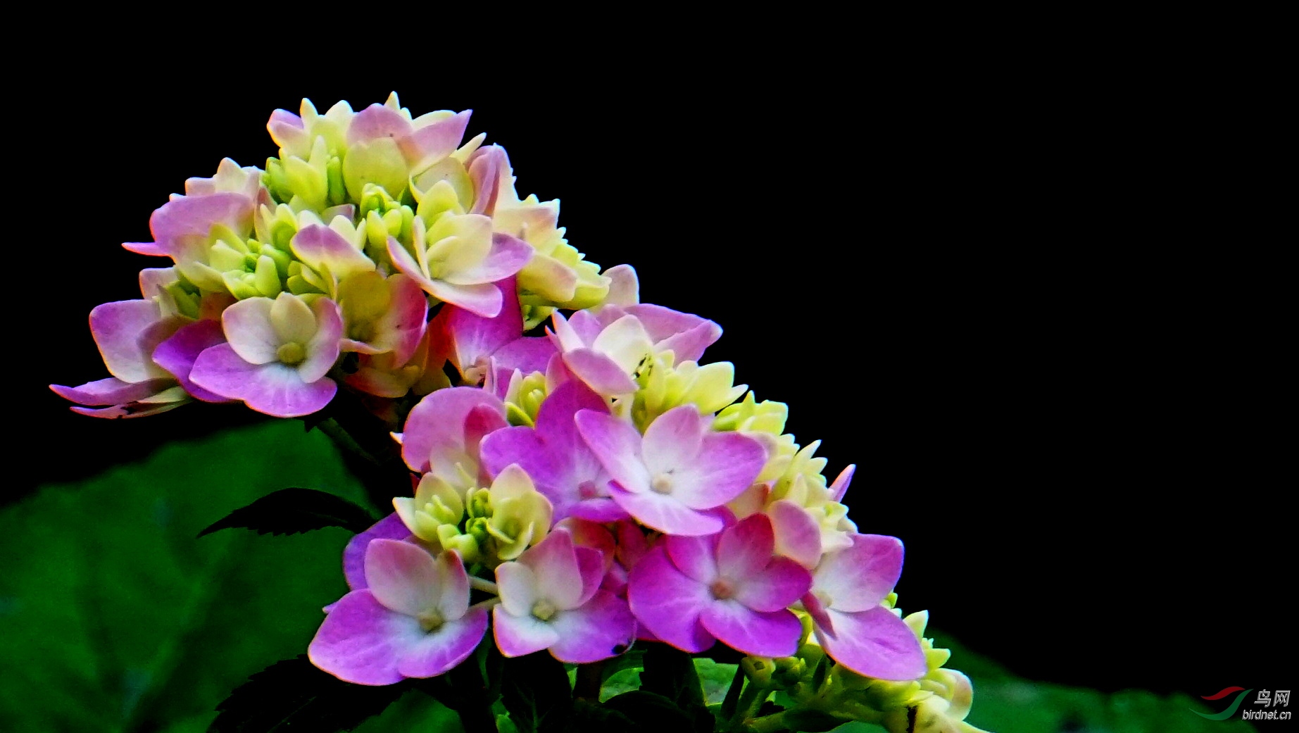 DSC06500.JPG