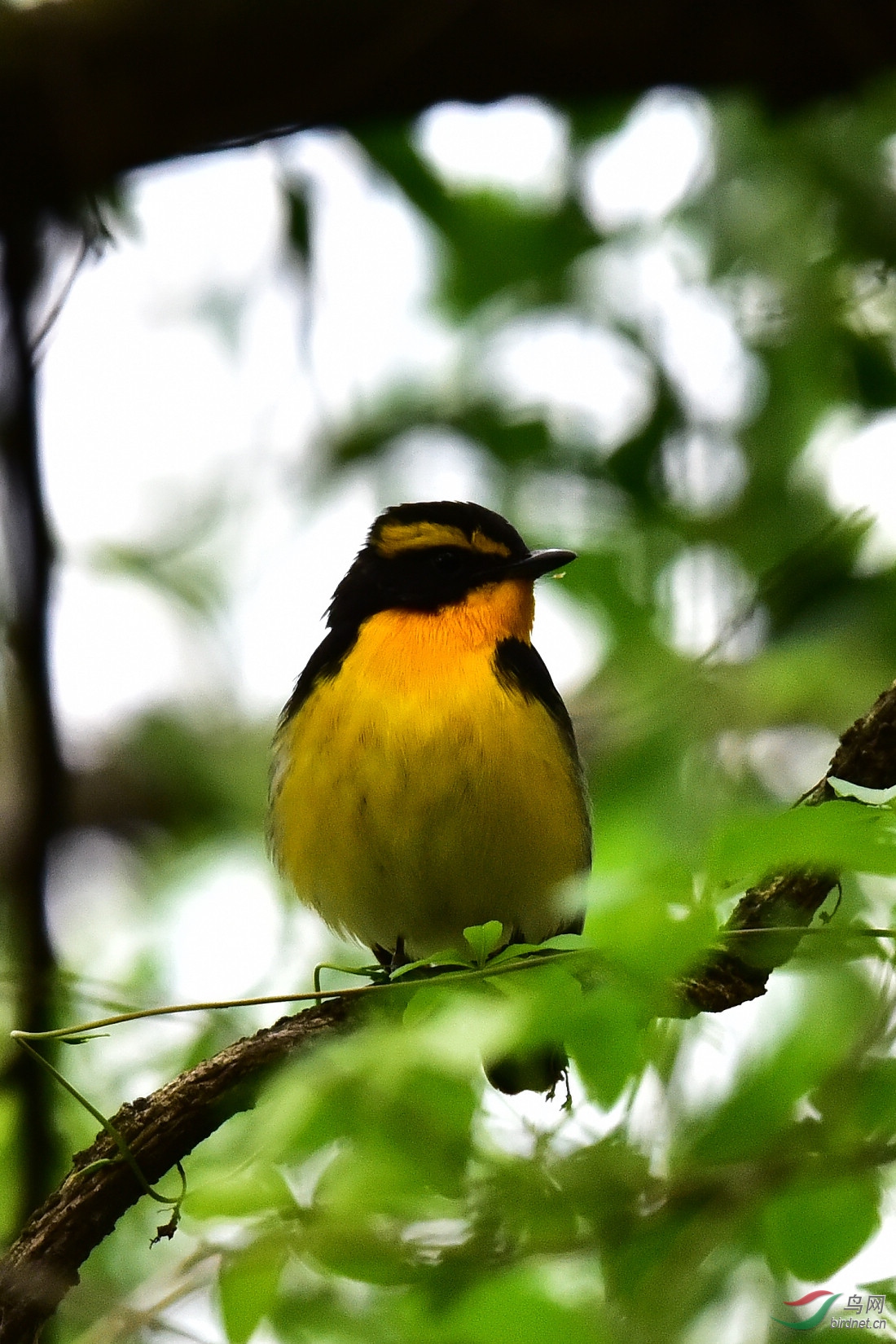 DSC_1156.JPG