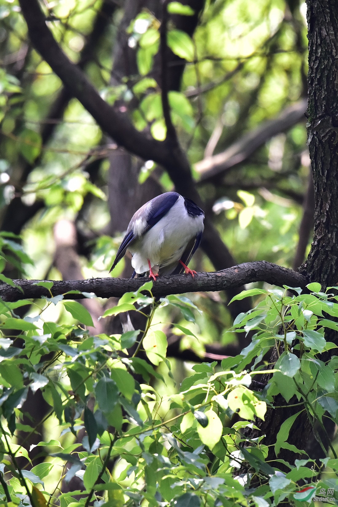 DSC_0386.JPG
