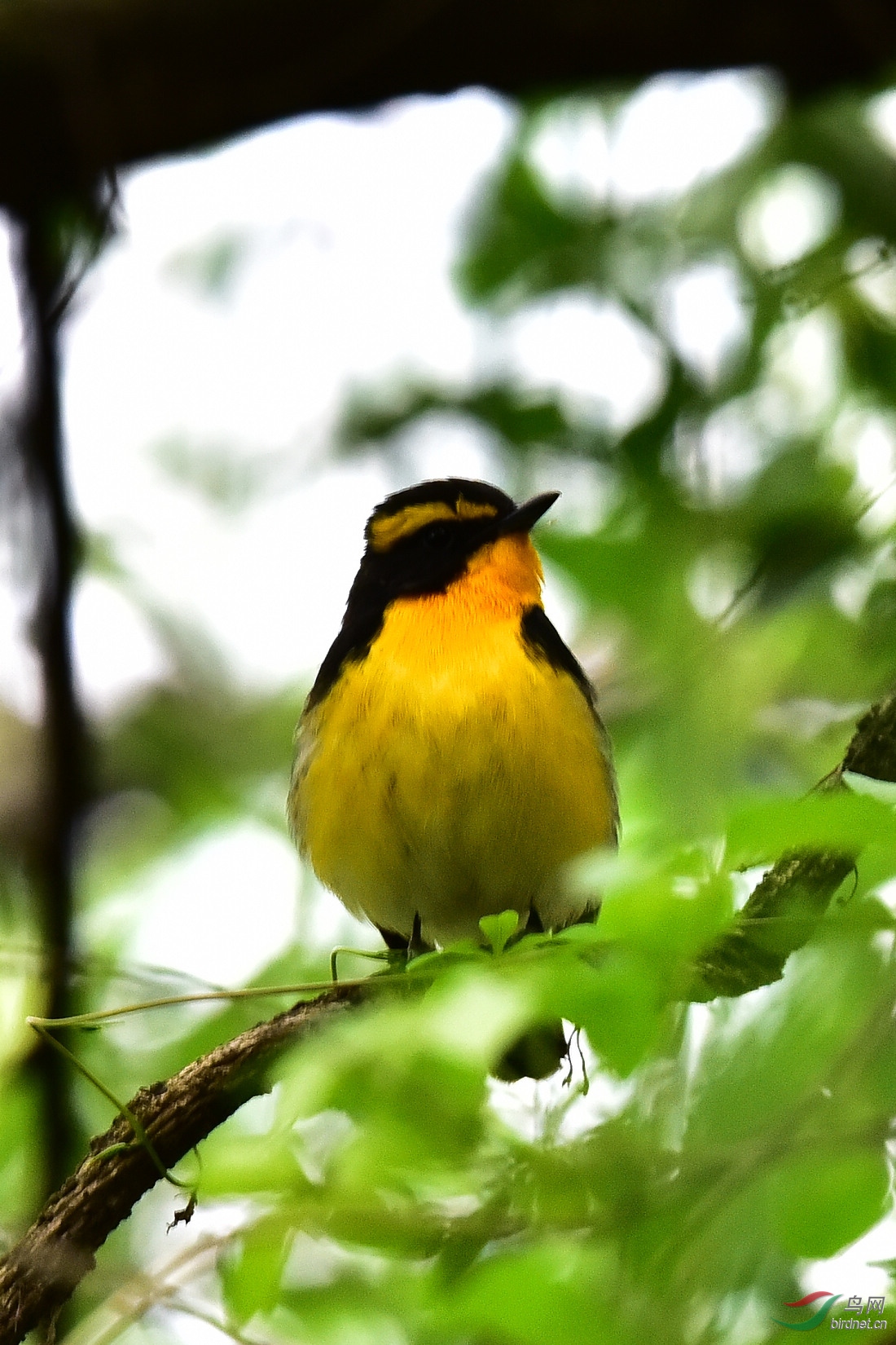 DSC_1157.JPG
