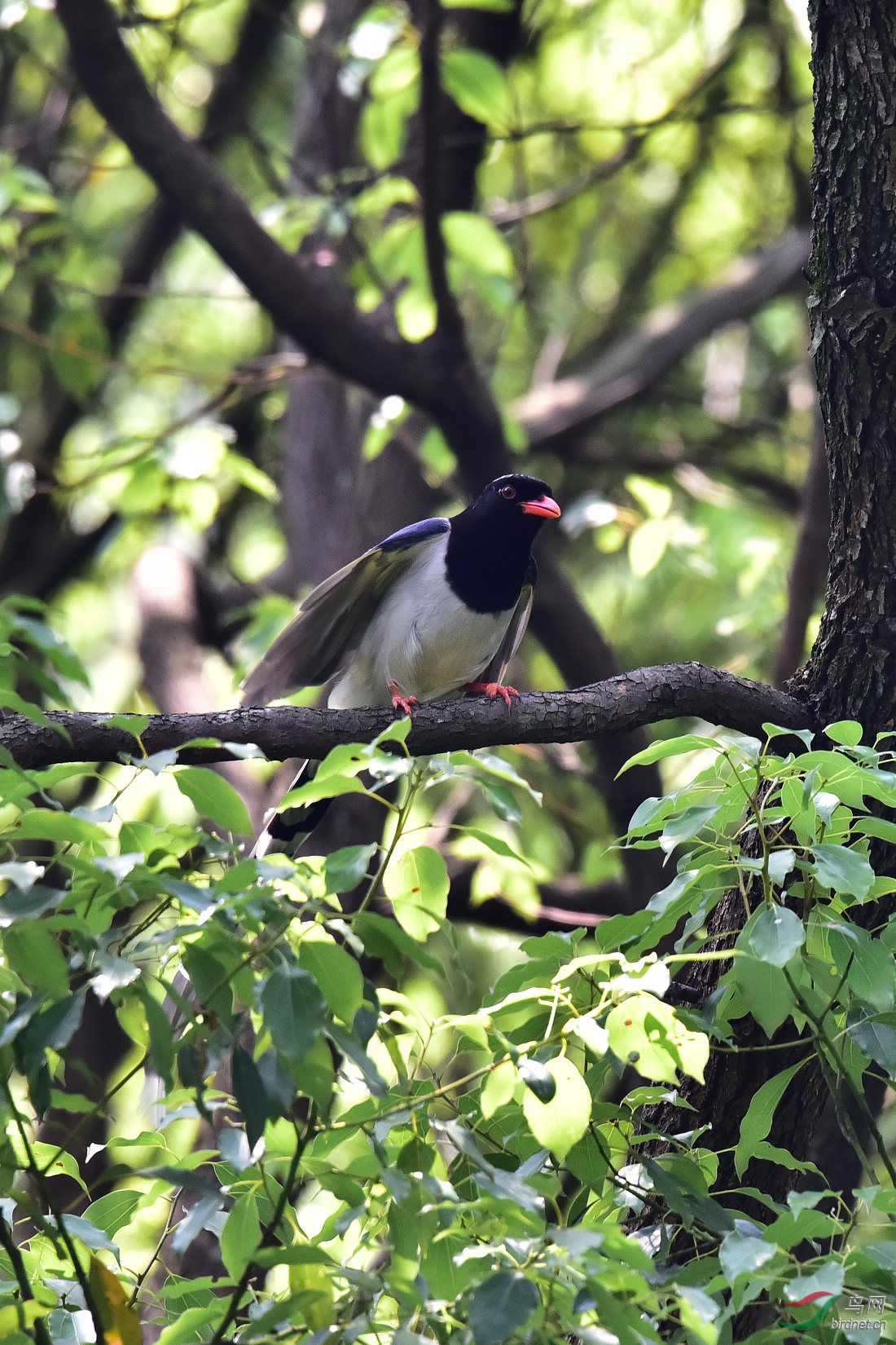 DSC_0387.JPG