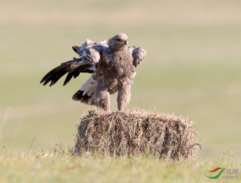 _K8I6328  01_����.jpg