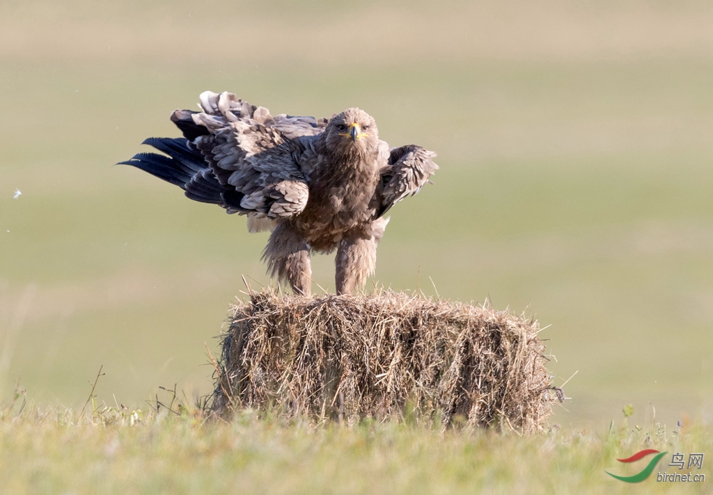 _K8I6337  01_����_����.jpg