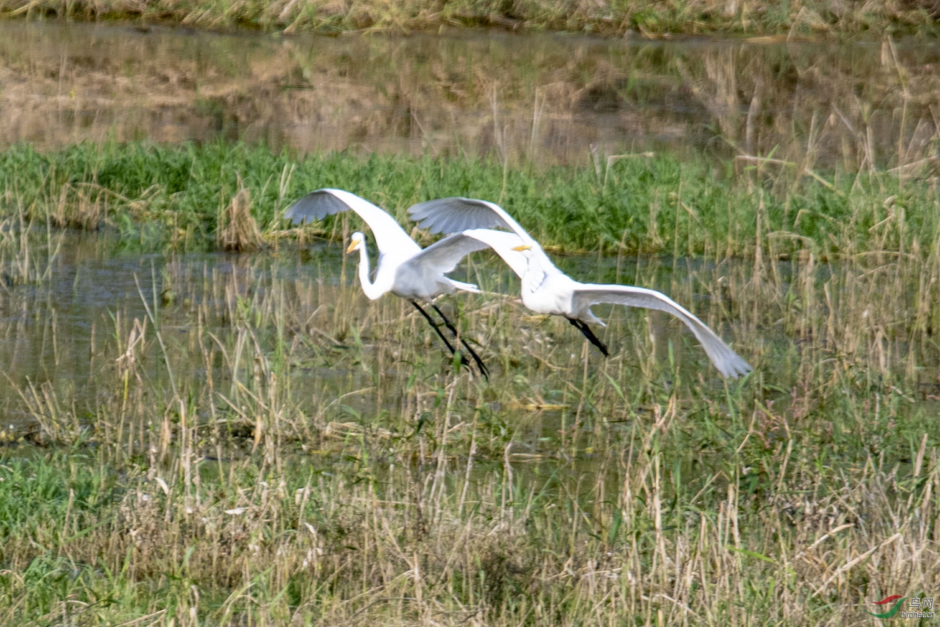 D50_1204.jpg