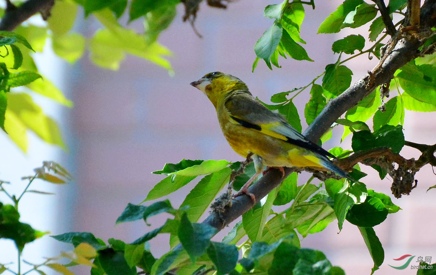 DSC_7716.JPG