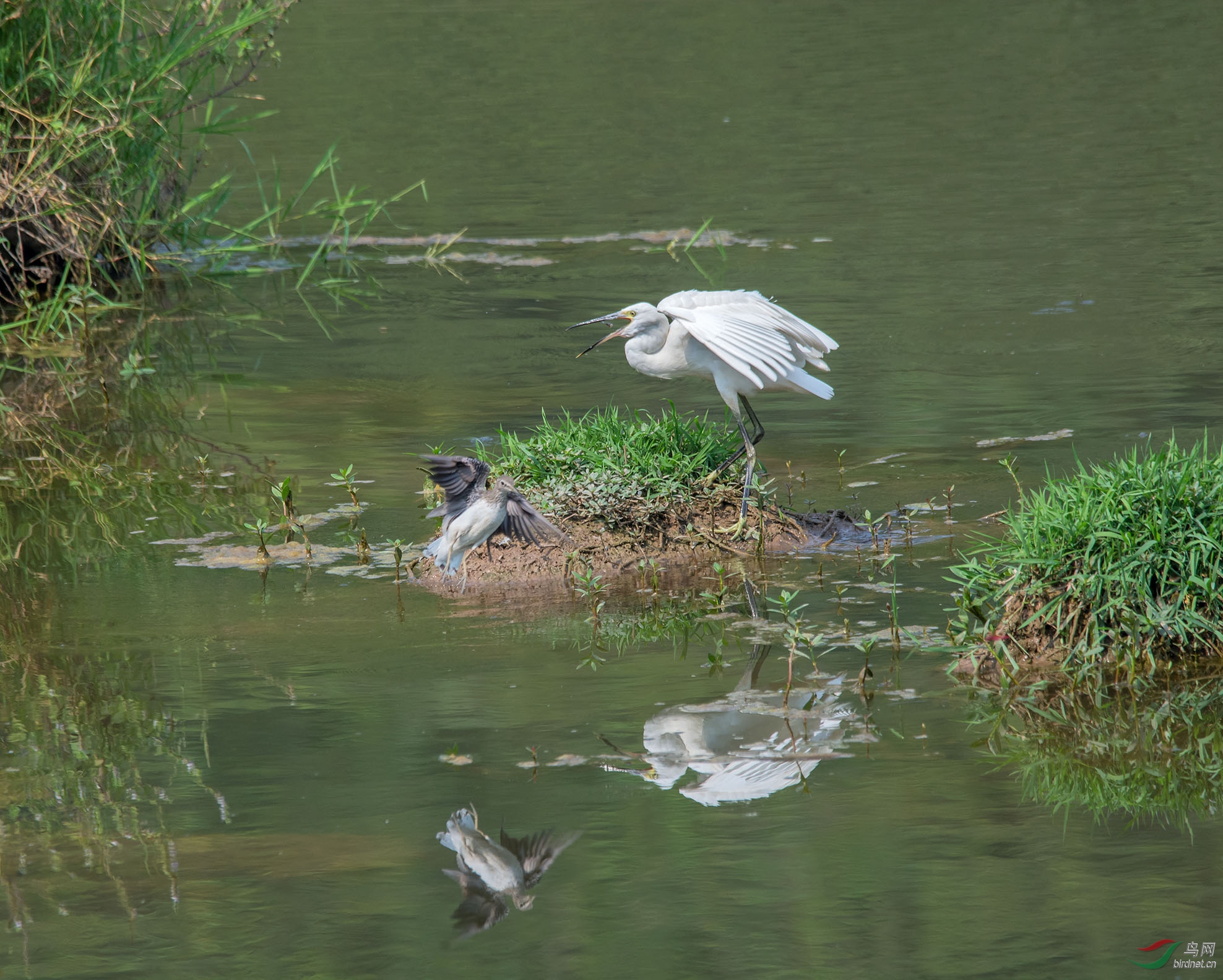 DSC_8462.jpg