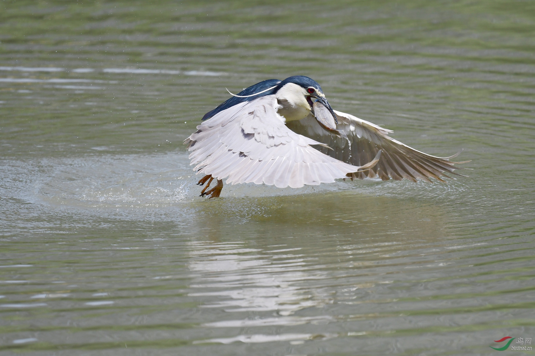 DSC_7080_����.jpg