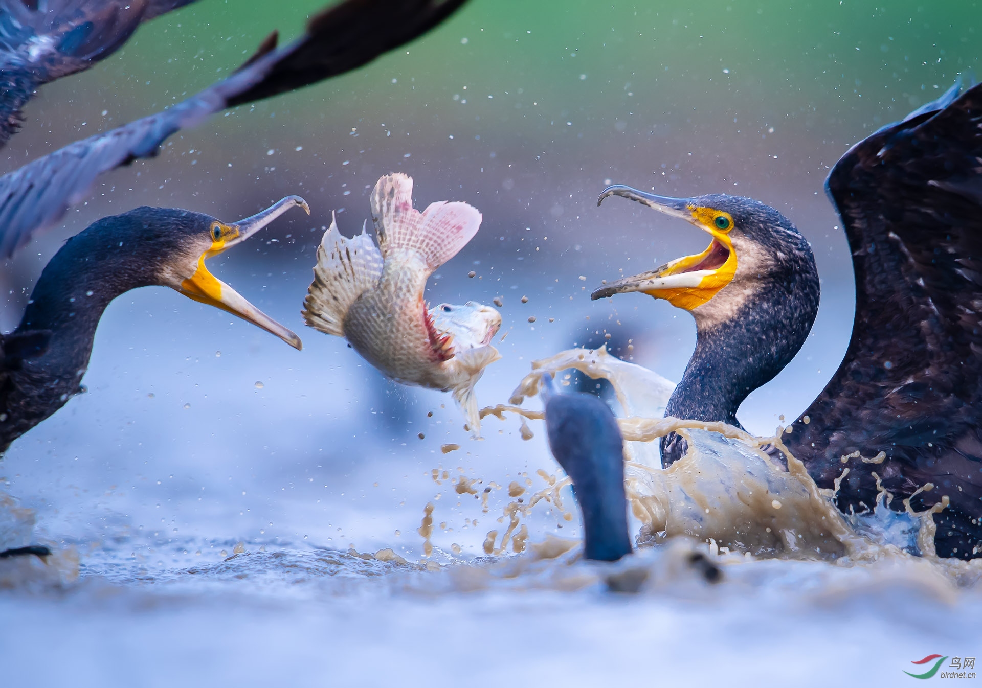 ZXC_027011 ����.jpg