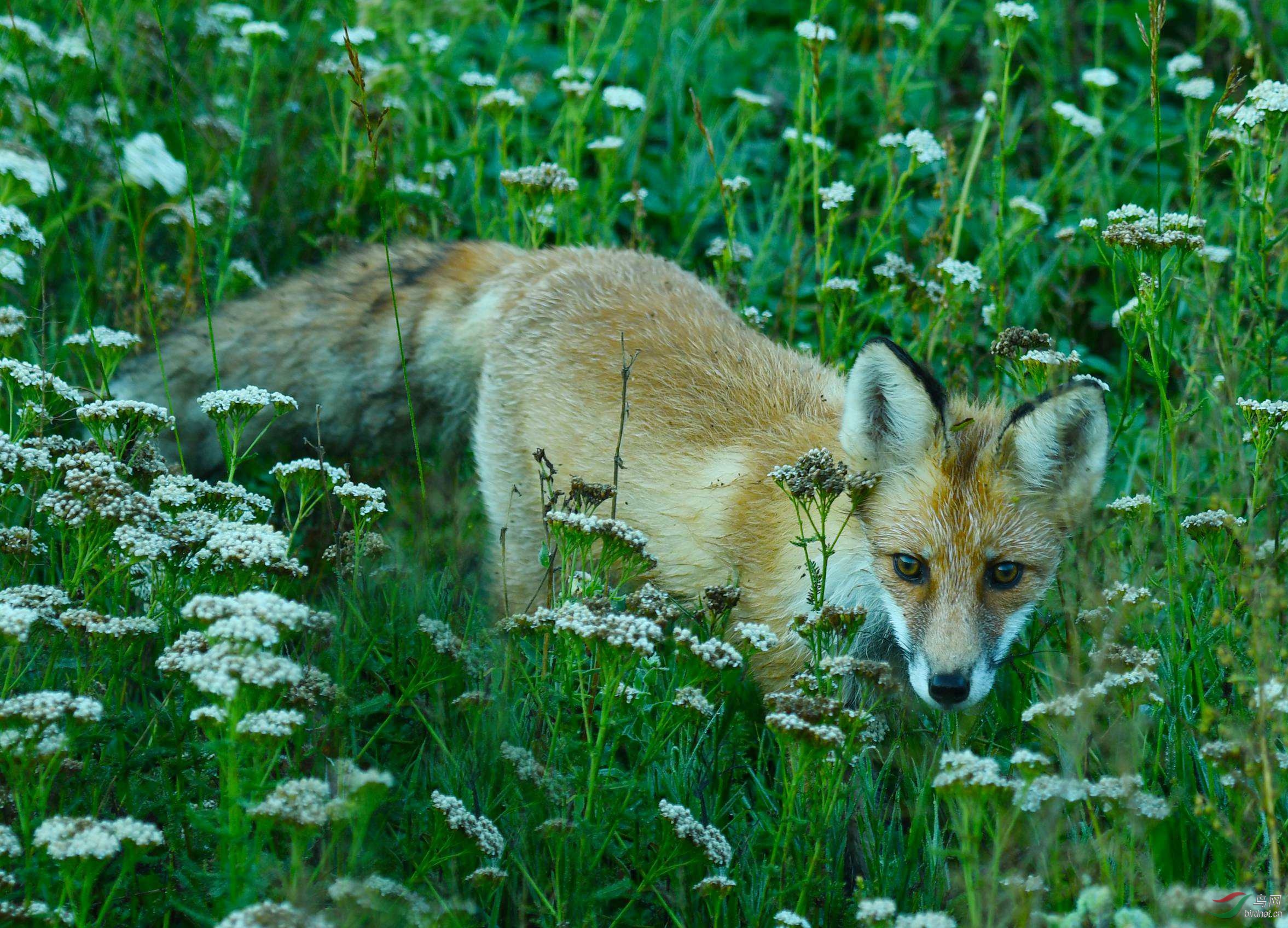 DSC_2903.JPG